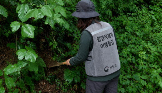 홍천국유림관리소, 임업 직불금 점검 나서