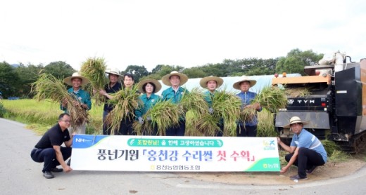 홍천군 올해 첫 벼 베기…본격 수확철 돌입